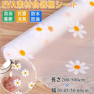 HIV[g Lb`V[g~}bg Eva oVFtƃLrlbgCi[ ڒܕsv ْf\ vg R h L 􂦂 R h h o Lb`