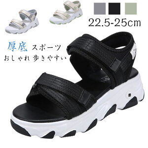  X|[c T_ fB[X Xj[J[  ₷ X|T r ʋC JWA pT_y ₷ X|T RtH[gT_ Ȃ  