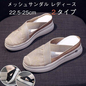 T_ Xj[J[ fB[X [X bV ₷ ₷ y r r[`T_  ItBX 6cm ԕ ʋC h