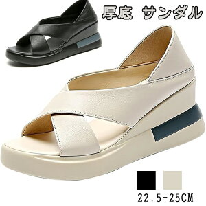  T_ fB[X IV ItBX ItBXT_ ₷ _炩 y r 6.5cm Xb| EH[LO Ȃ ~  lC 䟭 22.5-25cm