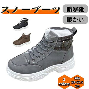 Xm[u[c fB[X g y hC h ~p u[c C hV[Y ~ Xm[V[Y Xj[J[ ȌC oRC N ϖՐ g ~pu[c hu[c ʊw 