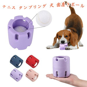 ejX ^uO {[ g[jO ʂ݌ ̃C^NeBuȃ{[̃ejXJbv  ̃^uO {[ ̂łނ ̃{[ Sg[jO 