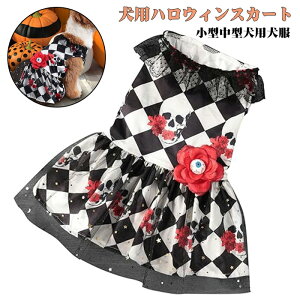 pnEBXJ[gAnEBybghX | rX^vgXJ[XXJ[g``AACt[t,^^p RXv nEBp RXvߑ