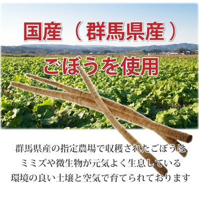 群馬県産