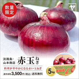 【送料無料】淡路島赤玉ねぎ【季節・数量限定！】 5キロ サイズ・個数おまかせ 5kg 甘い 美味しい 人気 おすすめ ランキング ひょうご安心ブランド 減農薬 サラダ onion 淡路島 玉ねぎ お取り寄せ 赤玉ねぎ 産地直送 贈り物 野菜 オニオン魂 山本商店