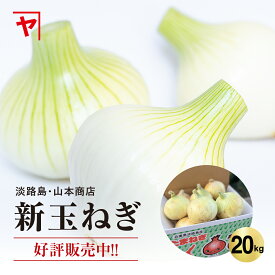 淡路島 新玉ねぎ 【3月上旬〜6月上旬までの商品】20キロ サイズ 個数おまかせ 淡路島玉ねぎ 20kg 玉ねぎ 甘い 美味しい 人気 おすすめ ランキング ひょうご安心ブランド 減農薬 サラダ onion 産地直送 贈り物 オニオン魂 山本商店