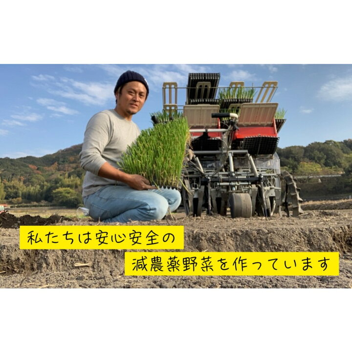 楽天市場】【送料無料】淡路島米【令和7年度産】 お米 30キロ 淡路島 