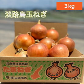 【送料無料】淡路島玉ねぎ【6月上旬～3月上旬までの商品】 3キロ サイズ・個数おまかせ 3kg 玉ねぎ 甘い 美味しい 人気 おすすめ ランキング ひょうご安心ブランド 減農薬 サラダ カレー onion 産地直送 贈り物 オニオン魂 山本商店