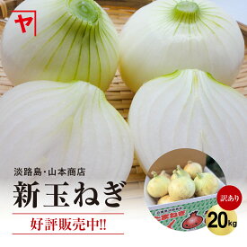 淡路島新玉ねぎ 【3月上旬～6月上旬までの商品】 訳あり 傷 変形 皮むけ 20キロ サイズ 個数おまかせ 20kg 玉ねぎ 新玉ねぎ 甘い 美味しい 人気 おすすめ ランキング ひょうご安心ブランド 減農薬 サラダ カレー onion 淡路島 産地直送 贈り物 オニオン魂 山本商店