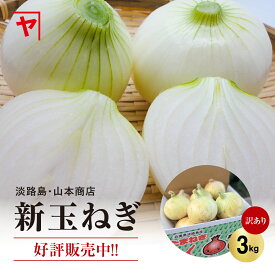 淡路島新玉ねぎ 【3月上旬～6月上旬までの商品】 訳あり 傷 変形 皮むけ 3キロ サイズ 個数おまかせ 3kg 玉ねぎ 新玉ねぎ 甘い 美味しい 人気 おすすめ ランキング ひょうご安心ブランド 減農薬 サラダ カレー onion 淡路島 産地直送 贈り物 オニオン魂 山本商店