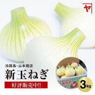 淡路島 新玉ねぎ【3月上旬〜6月上旬までの商品】3キロ サイズ 個数おまかせ 淡路島玉ねぎ 3kg 玉ねぎ 新…