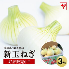 淡路島 新玉ねぎ【3月上旬〜6月上旬までの商品】3キロ サイズ 個数おまかせ 淡路島玉ねぎ 3kg 玉ねぎ 新玉ねぎ 甘い 美味しい 人気 おすすめ ランキング ひょうご安心ブランド 減農薬 サラダ onion 産地直送 贈り物 オニオン魂 山本商店