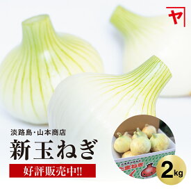 淡路島 新玉ねぎ【3月上旬〜6月上旬までの商品】2キロ サイズ 個数おまかせ 淡路島玉ねぎ 2kg 玉ねぎ 新玉ねぎ 甘い 美味しい 人気 おすすめ ランキング ひょうご安心ブランド 減農薬 サラダ onion 産地直送 贈り物 オニオン魂 山本商店