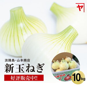 �_�V�ʂ˂�����s�����Z�[��20%OFF�^ �W�H�� �V�ʂ˂� �y3����{�`6����{�܂ł̏��i�z10�L�� �T�C�Y �����܂��� �W�H���ʂ˂� 10kg �ʂ˂� �Â� �������� �l�C �������� �����L���O �Ђ傤��