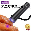 【在庫処分セール！1280→875円】 アニサキスライト 充電式 ブラックライト ペン アニサキス用ブラックライト アニサ…