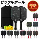 【楽天6冠獲得】 ピックルボール カーボンファイバー パドル 軽量 上級者 中級者 セット ラケット×2個 ボール×4個 …