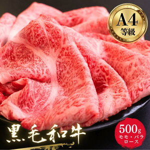 A4 Y  a  Ԃ  o [X 500g 2`3lO Ε Ε y ŝł邨 z lΉ  ₫ XLL ؂ XCX    a 