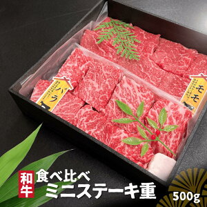 Y  a ~j Xe[Ld  o Hה 500g Ε Ε bbq o[xL[ Ⓚ  ؂ ~jXe[L Mtg ē Xe[L O aj Ԃ TXeiuan 