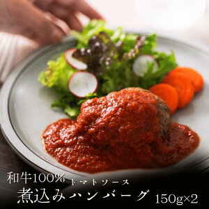 a100 ύ݃no[O g}g\[X 150g×2 ̃no[O Y no[O g}g \[X Ε Ε Ε lΉ ^pbN ߂邾  100 y ٓ ⓀXgbN 