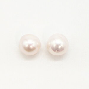  ^ yA p [X 8mm X^bh ЌyNbN|XgzyzsAX CO [  AM[ CO ꗱ Vv J[  ig