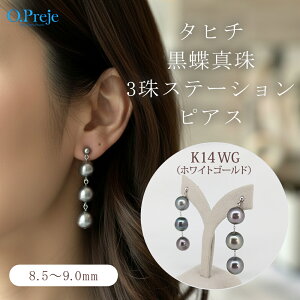 黒真珠 ピアス」の人気商品一覧 | 安い商品を通販サイトから探す 