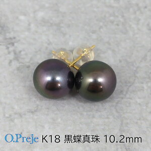  ^ K18 X^bh sAX 10.2mm ubN p[ yz 10mm Eh tH[} ^ S[h ^q` Vv ig fB[X rWlX JWA v[g Ԃ 