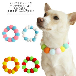 Lp p S16F 5TCY ||t  ybgpANZT[