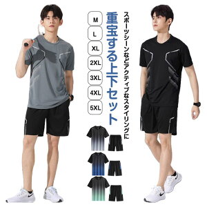 X|[cEGA ㉺Zbg fB[X Y hC ʋC y jOEFA [EFA