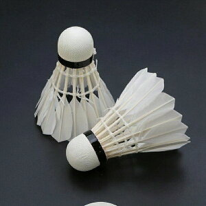 oh~gVg K`EH ϋv Kp  12 RNx[X s