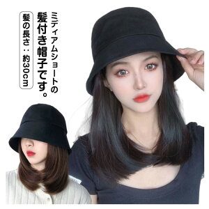 tXq ѕtXq EBbO uE XqtEBbO ̌^ V[g ×p    ubN