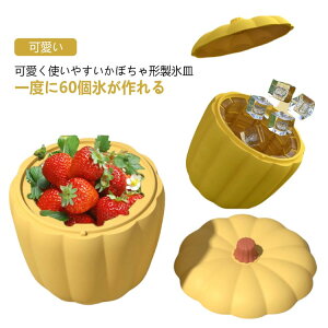 o₷ ACXg[ 60 e VR ڂ^ ACX[J[ XM Wt 2in1 ACXoPc lpX ۑe