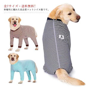  hbOEFA Jo[I[ ybg  h Xgb` {[_[ p[J[ ʋC ^ ^ ^ 7TCY