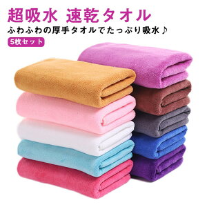 ^I 5Zbg wAhC^I z ^I }CNt@Co[ Z ӂӂ ̖ l qǂ wA[hC^I 唻 35×75cm  S11F