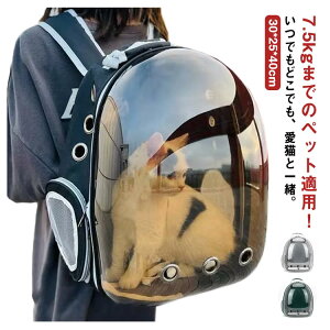 P[W  L ybgobO bN  obO ^  ETM L[obO ʋC 