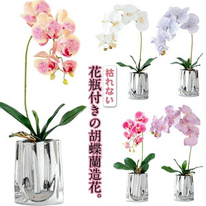 ~jTCY Ӓ  Ԋt p  CeA ͂Ȃ ̓ ̓ hV̓ Mtg