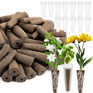 k͔|pX|W E^|n ec|bg 12 50 ܂ c A琬 K[fjO ƒ؉