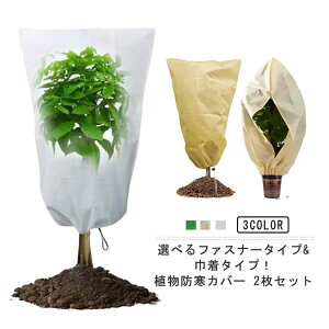 AhJo[ 2Zbg sDz t@Xi[&В h΍ |pi ی ʋC ~p ۉ h ϗtA h~ A  O