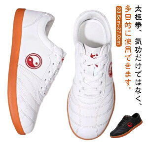 yyVX[p[SALEIziz ɌV[Y Jt[V[Y [XAbv Y C fB[X Xj[J[ EFA Kp `p ~ yʐ݌v