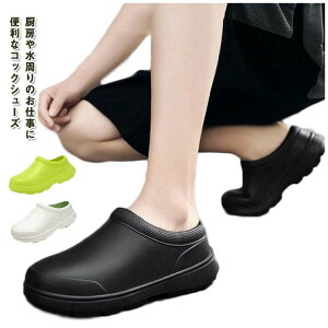 Lb`V[Y RbNV[Y Ȃ ~[  Y fB[X y [NV[Y ƌC h h Xb| ɂ n  JWA i R hL 