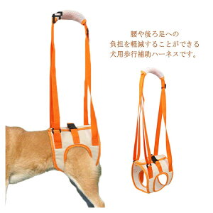 Qp s⏕n[lX V ^^܂őΉ hbOn[lX pi