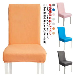 CXJo[ `FA[Jo[ w ėp ڐG⊴ Ђ Xgb` k n  tJo[ Lk