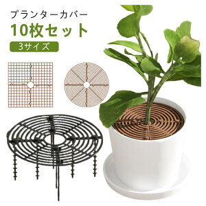 yyVX[p[SALEIziz A Aؔ ϗtA v^[Jo[ 10Zbg yی L@h~ |pi