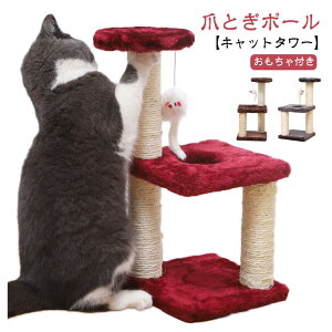 yyVX[p[SALEIziz L^[ ܂Ƃ ~j^[ R L^[ u L 3i Lbg^[ |[ gݗĊȒP Lpi ~j x  ^s XgX