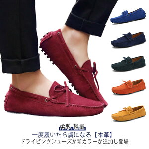 hCrOV[Y Y {v JWAV[Y JV y ɂ tďH~Ή