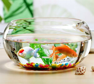  ی^  KX _Jp {E e[uANAE ϗtAe