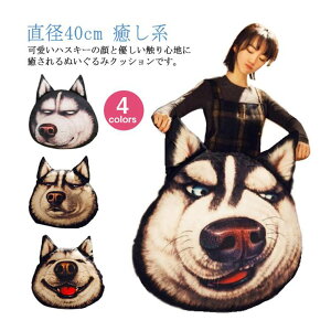 Ck ʂ CeA nXL[ rbOTCY NbV 낢ObY   q     YQ܂ ̊ n ܂