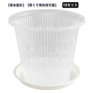 yyVX[p[SALEIziz A c|bg a11cm gCt  a14cm 10Zbg ϗtA a16cm Aؔ Ӓ m t vX`bN O I[Lbh|bg 