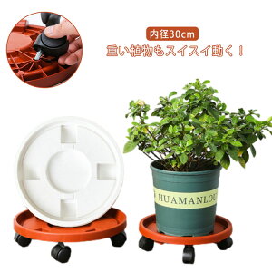 t[X^h u LX^[t 360°] gC ϗtAp a30cm 2Zbg