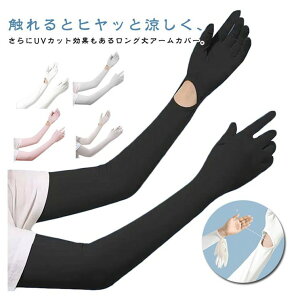 yyVX[p[SALEIziz A[Jo[ UVJbg rJo[ fB[X w܂ O ⊴  X}zΉ Ă΍ ėp AEghA ^] ] St