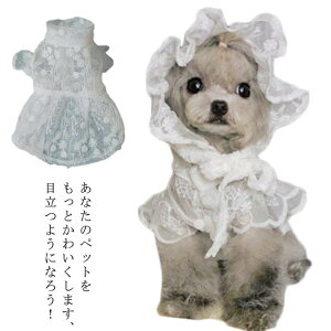 [X s[X ^  hX 킢 t [X ̎q  p[eB[ EFfBOhX [L[ _bNXth ` tH[} gCv[h }`[Y m Vi